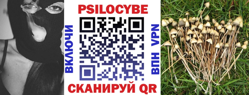 Галлюциногенные грибы Psilocybine cubensis  Любань 