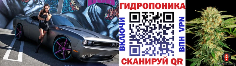 Марихуана сатива Любань